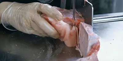 Sierra de huesos (Sierras de cinta para huesos)