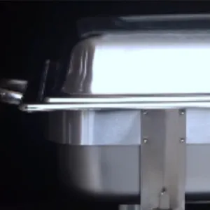 Calentador de alimentos para bufet (a gas)