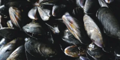 Limpieza de mariscos